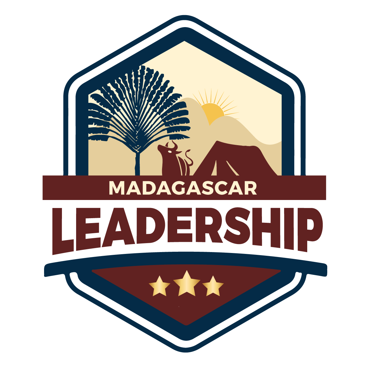 leadership politique madagascar